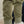 Play All Day Pant- Olive Green